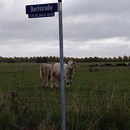 Lichtenberg  Moderne Barrierefreie Wohnung Auf Dem Land Bei Neuruppin מראה חיצוני תמונה